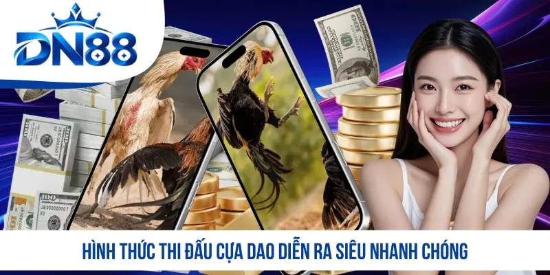 Hình thức thi đấu cựa dao diễn ra siêu nhanh chóng